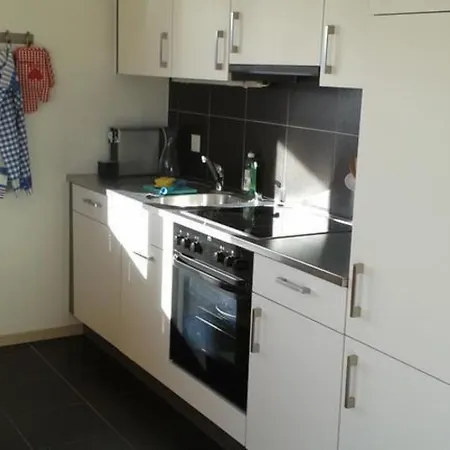 Echo 1- Stock West *
